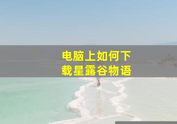 电脑上如何下载星露谷物语