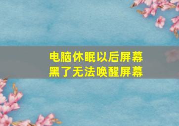 电脑休眠以后屏幕黑了无法唤醒屏幕