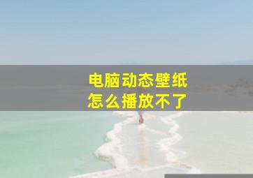 电脑动态壁纸怎么播放不了