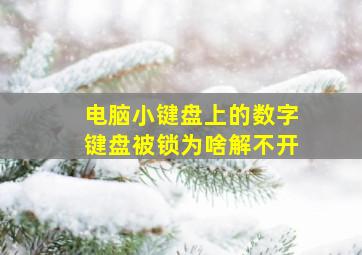 电脑小键盘上的数字键盘被锁为啥解不开