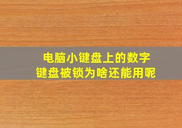 电脑小键盘上的数字键盘被锁为啥还能用呢