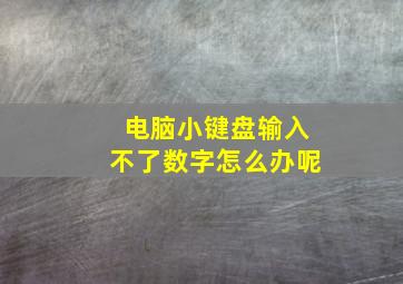 电脑小键盘输入不了数字怎么办呢