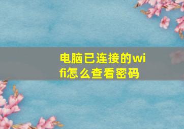 电脑已连接的wifi怎么查看密码