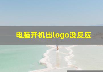 电脑开机出logo没反应