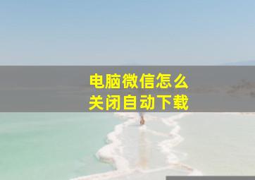 电脑微信怎么关闭自动下载