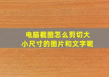 电脑截图怎么剪切大小尺寸的图片和文字呢