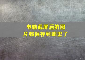 电脑截屏后的图片都保存到哪里了