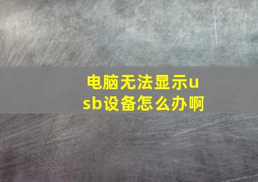 电脑无法显示usb设备怎么办啊