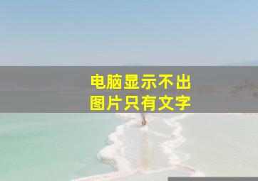 电脑显示不出图片只有文字