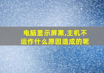 电脑显示屏黑,主机不运作什么原因造成的呢