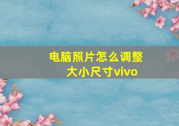 电脑照片怎么调整大小尺寸vivo