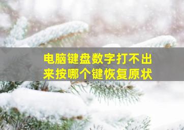 电脑键盘数字打不出来按哪个键恢复原状