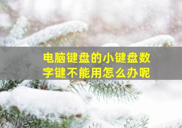 电脑键盘的小键盘数字键不能用怎么办呢