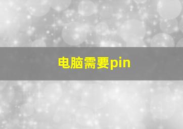 电脑需要pin