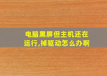 电脑黑屏但主机还在运行,掉驱动怎么办啊