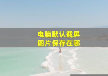 电脑默认截屏图片保存在哪