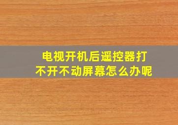 电视开机后遥控器打不开不动屏幕怎么办呢