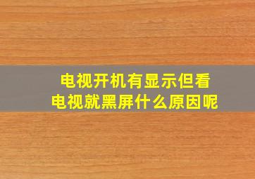 电视开机有显示但看电视就黑屏什么原因呢