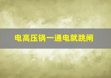 电高压锅一通电就跳闸