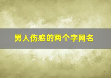 男人伤感的两个字网名