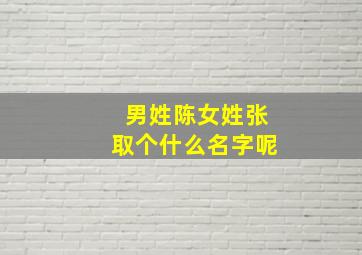 男姓陈女姓张取个什么名字呢