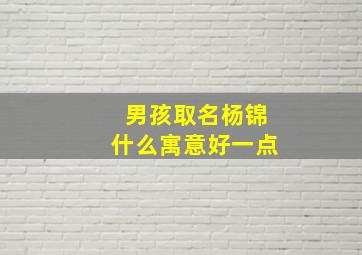 男孩取名杨锦什么寓意好一点