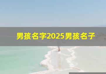 男孩名字2025男孩名子