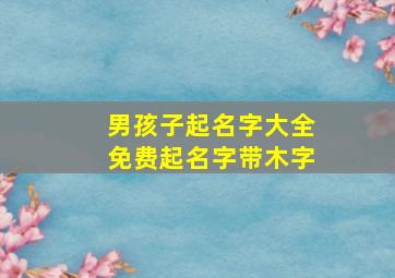 男孩子起名字大全免费起名字带木字