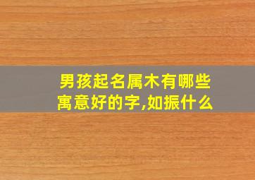 男孩起名属木有哪些寓意好的字,如振什么