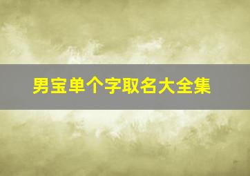 男宝单个字取名大全集