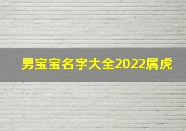 男宝宝名字大全2022属虎