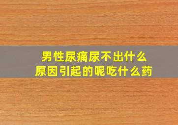 男性尿痛尿不出什么原因引起的呢吃什么药