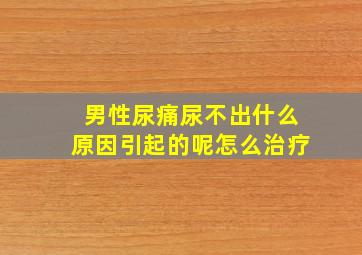 男性尿痛尿不出什么原因引起的呢怎么治疗