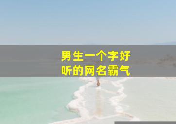 男生一个字好听的网名霸气