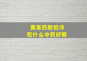 畏寒四肢怕冷吃什么中药好呢