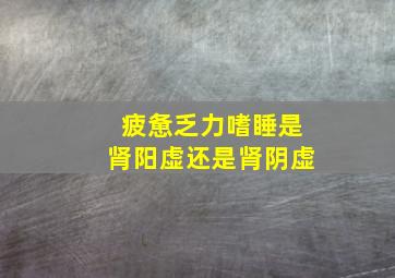 疲惫乏力嗜睡是肾阳虚还是肾阴虚