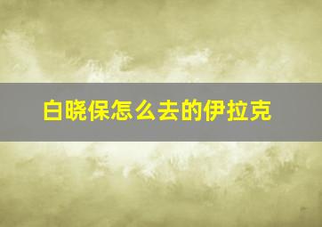 白晓保怎么去的伊拉克