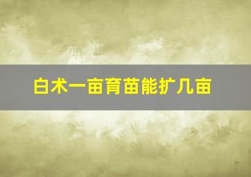 白术一亩育苗能扩几亩