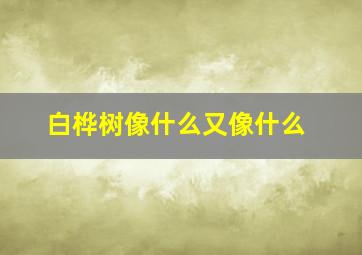 白桦树像什么又像什么