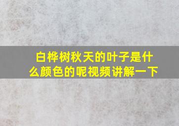 白桦树秋天的叶子是什么颜色的呢视频讲解一下