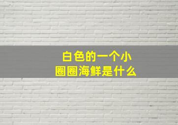 白色的一个小圈圈海鲜是什么