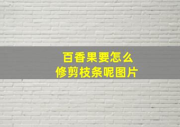 百香果要怎么修剪枝条呢图片