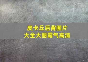 皮卡丘后背图片大全大图霸气高清