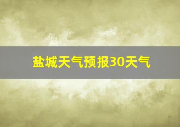 盐城天气预报30天气