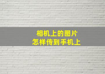 相机上的图片怎样传到手机上