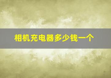 相机充电器多少钱一个