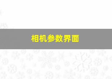 相机参数界面