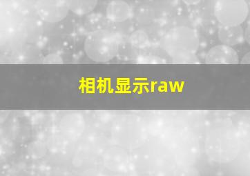 相机显示raw