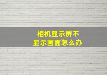 相机显示屏不显示画面怎么办