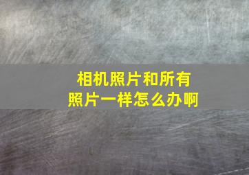 相机照片和所有照片一样怎么办啊